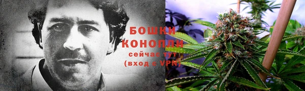 mdpv Арсеньев
